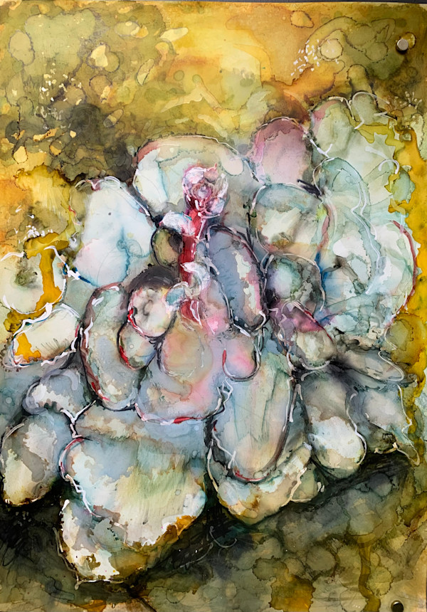 Succulence by Janet Dixon