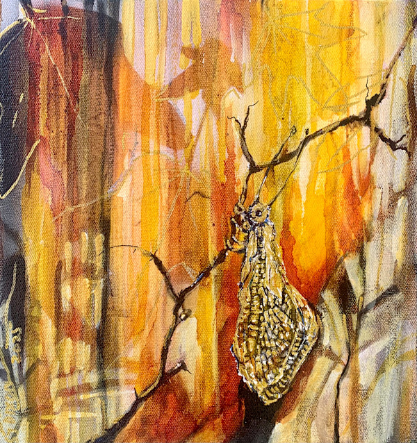 Rebirth by Janet Dixon
