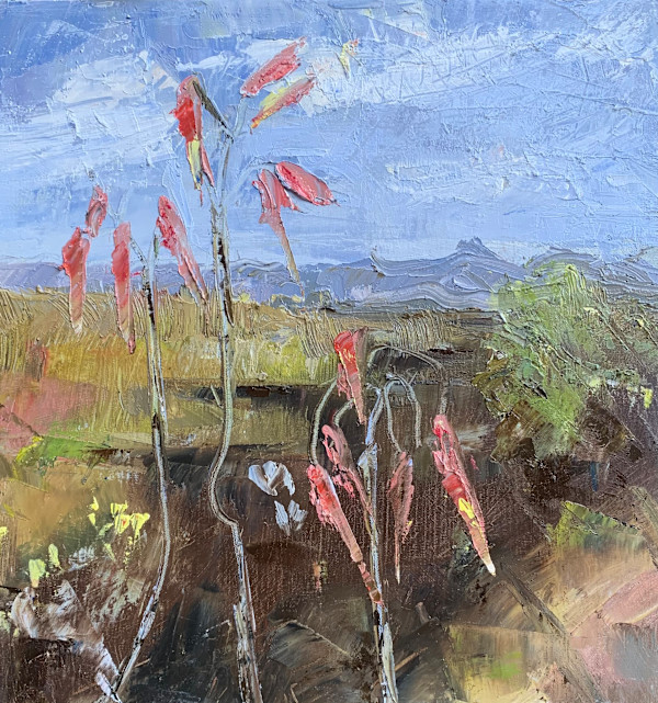 Karoo Belles by Janet Dixon