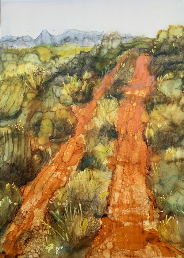 The Way Home by Janet Dixon