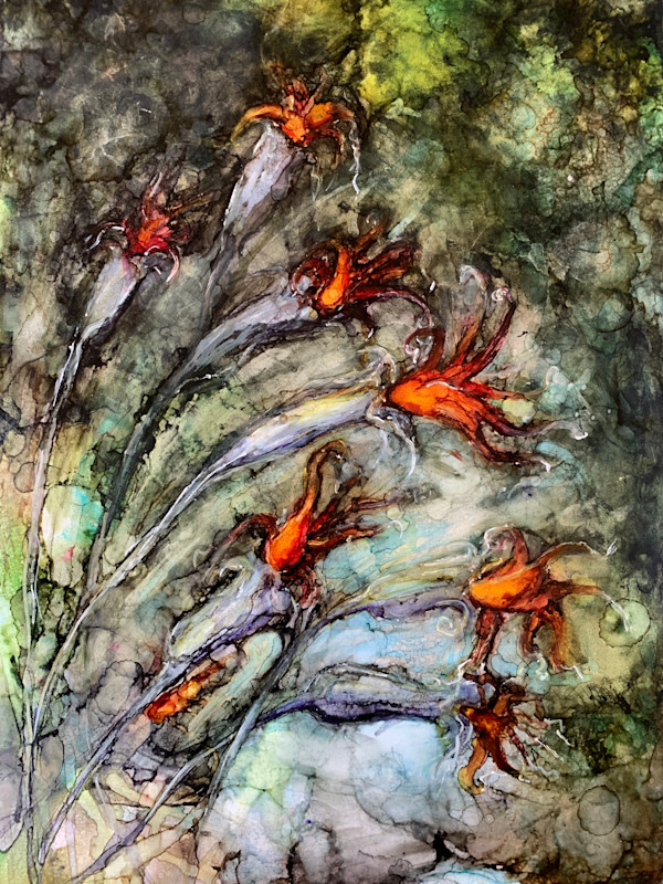 The Karoo has Rubies too. by Janet Dixon