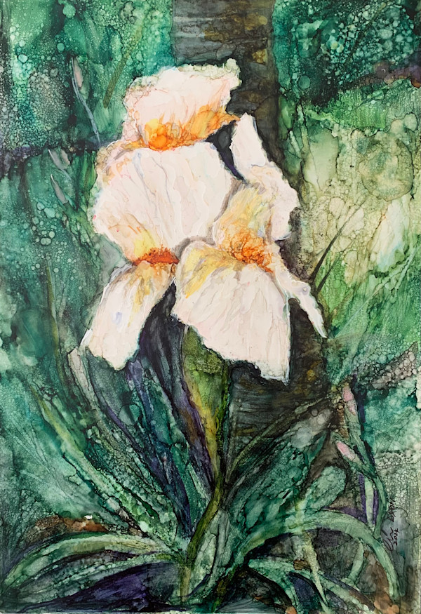 Iris Dancing in Green by Janet Dixon