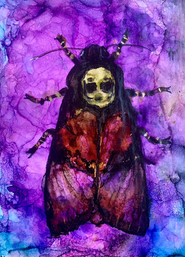 African Deathshead Moth by Janet Dixon, Image 3.