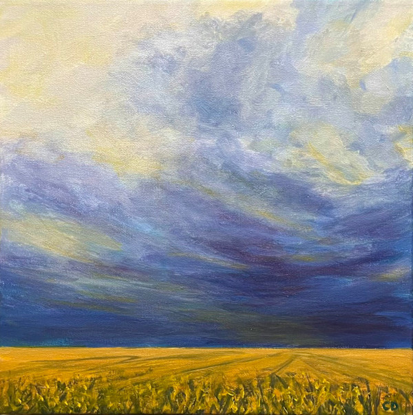 Take Cover by Celeste Dumonceaux Delahey, Image 1.
