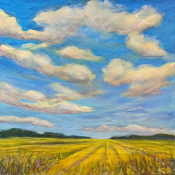 Thunderheads by Celeste Dumonceaux Delahey