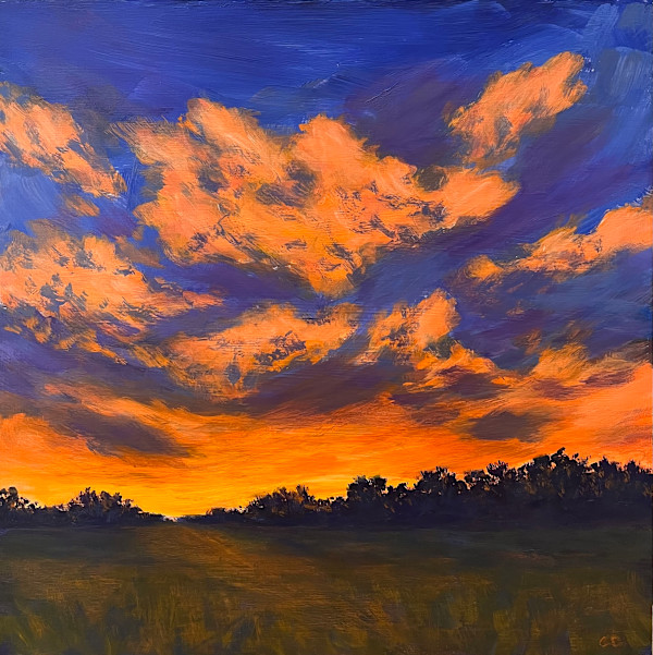 Hot Mesa by Celeste Dumonceaux Delahey