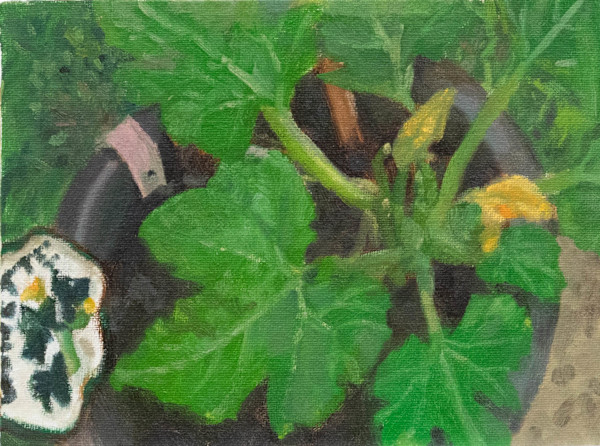 Courgette by Carolin Winkler