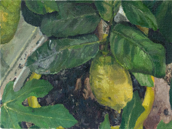 Lemon And Fig by Carolin Winkler