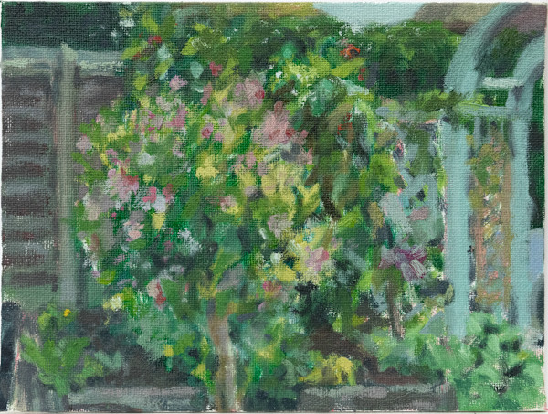 Weigela in Bloom at 128 by Carolin Winkler