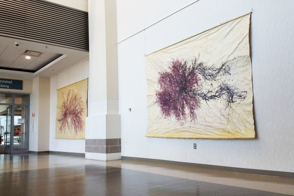 Great Salt Cove Macroalgae #2 by May Babcock