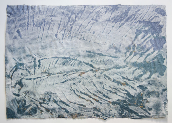 Macrosemerin rostoratus, 135 million years by May Babcock, Image 1.