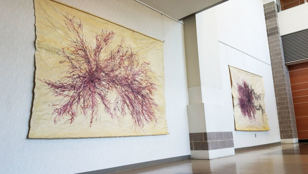 Great Salt Cove Macroalgae #3 by May Babcock