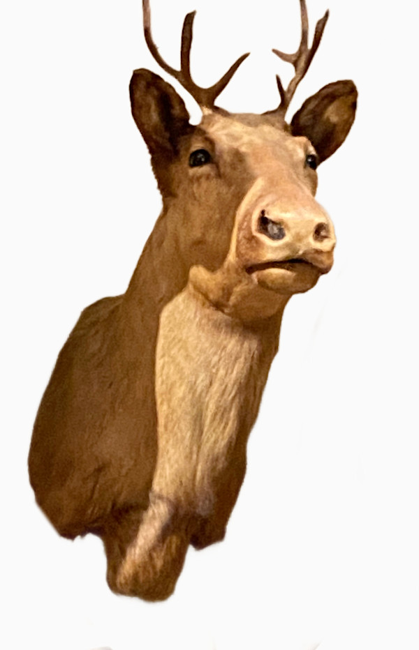 Mountain Caribou #110