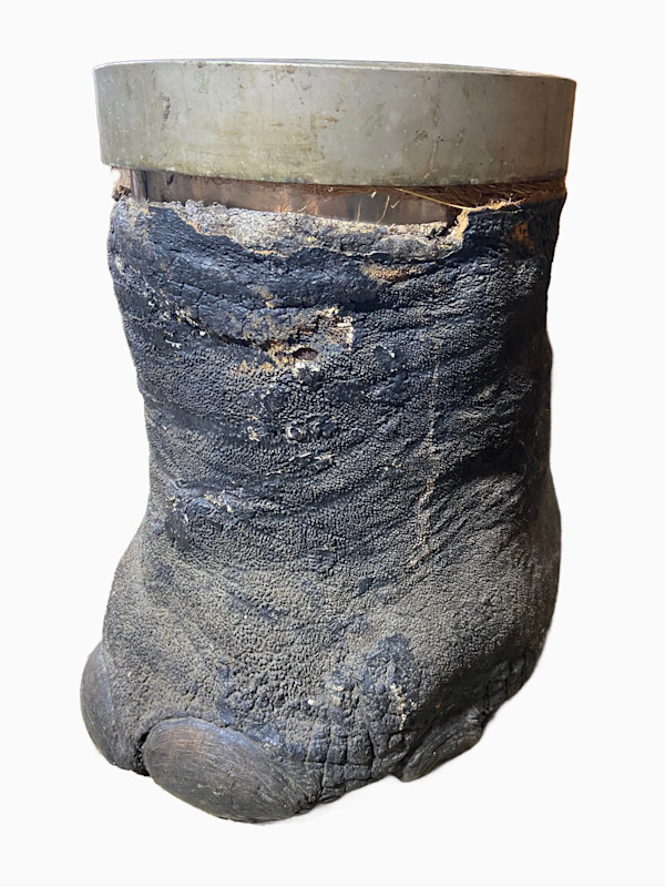 Elephant Foot Vessel #182