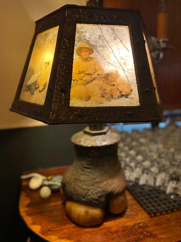 Elephant Foot Photo Lamp #199