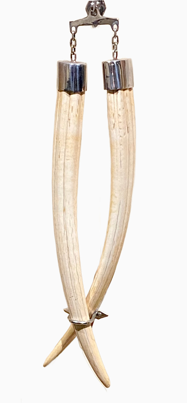 Walrus Tusks #82 *Big Game Record North America*