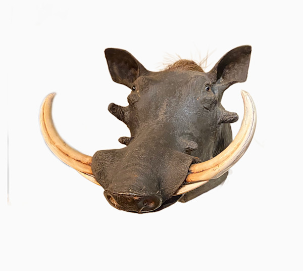 Warthog #136