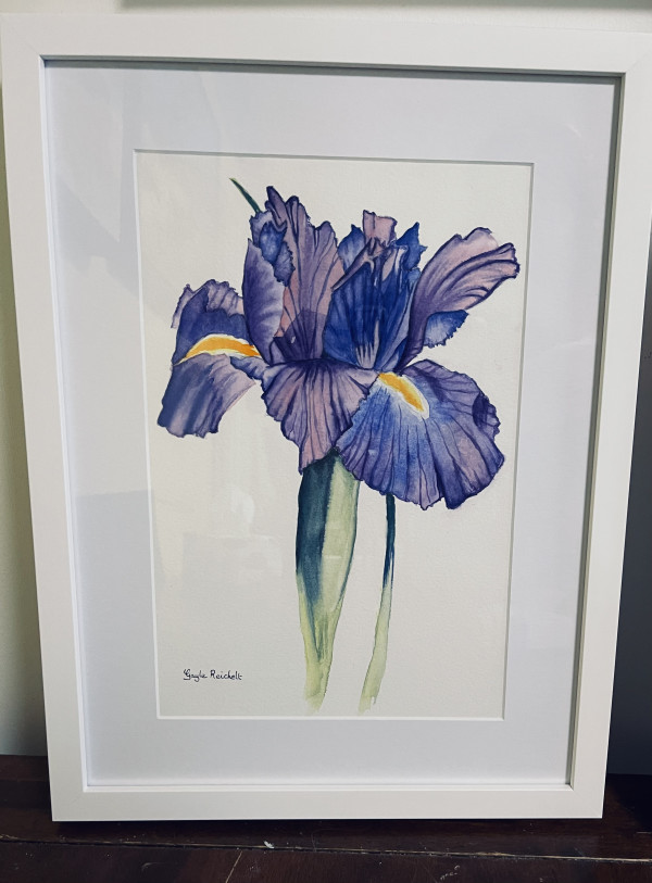 Iris - framed