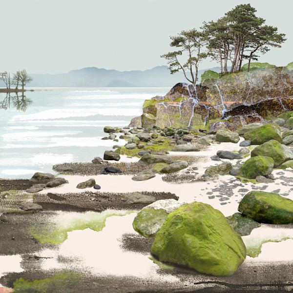 Treescape 12 | The Velvet Shore by Claire Gill Fine Art, Image 1.