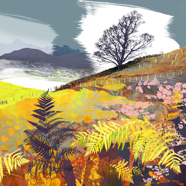 Treescape 9 | Martindale by Claire Gill Fine Art