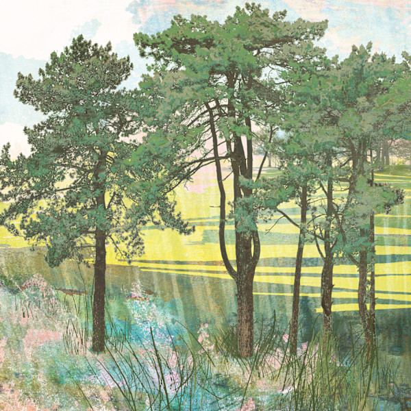 Treescape 21 | Summer Copse by Claire Gill Fine Art, Image 1.