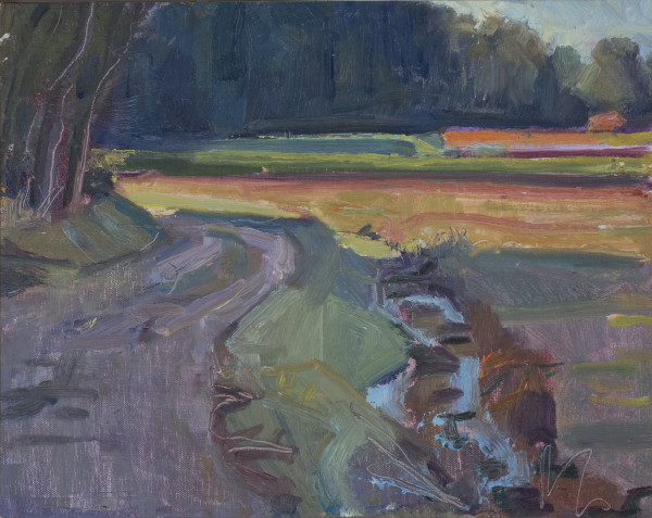 Cranberry Bogs Morning Light 1 by Frances Knight