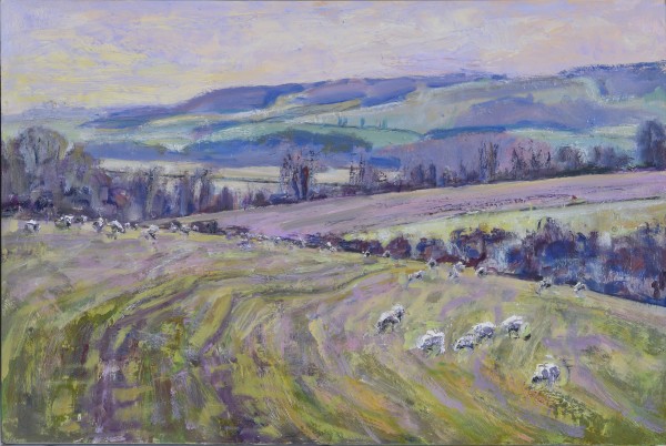 Sheep on the Downs Winter Quietude by Frances Knight