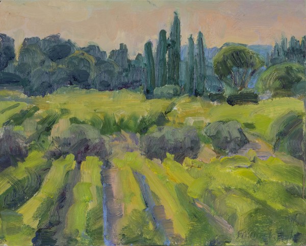Afternoon VInes Olives and Cypress by Frances Knight