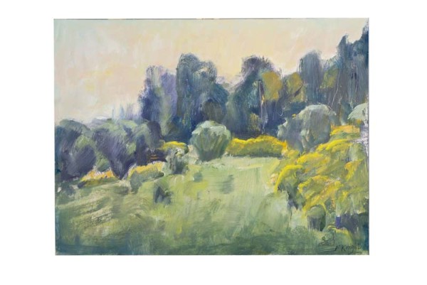 `Broom Late Afternoon Light by Frances Knight