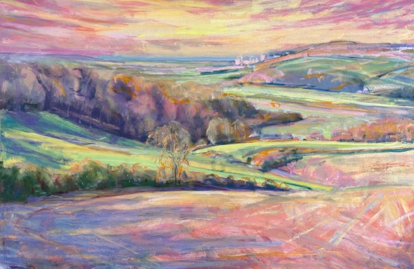 Pink Sunset Arun Valley by Frances Knight
