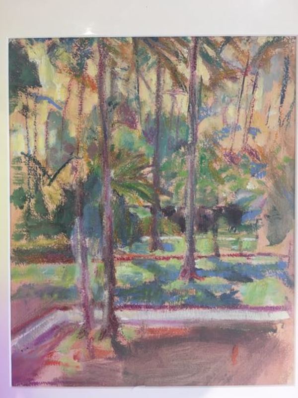 Morning  light through palm trees by Frances Knight