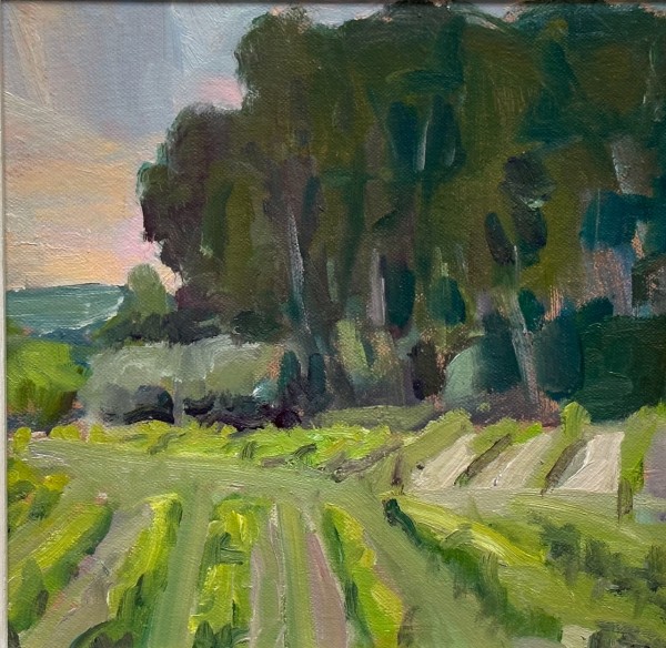 Vines and Cypress (Near the Chateau Evening by Frances Knight