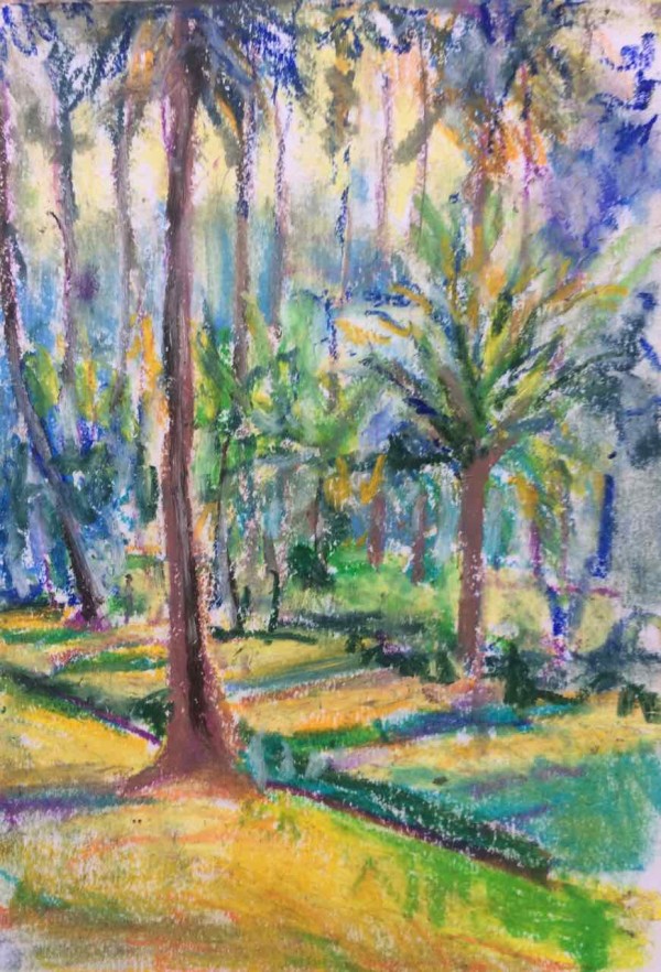 Palm Trees Morning Light by Frances Knight