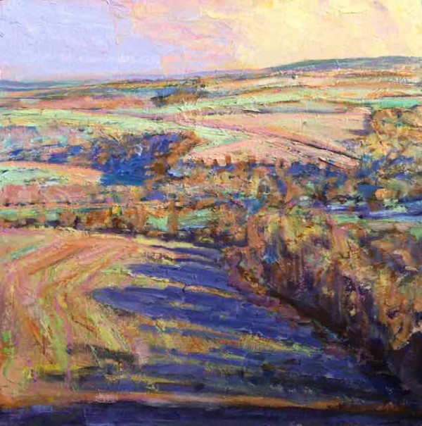 Sunlight and Shadows Dukes Field by Frances Knight