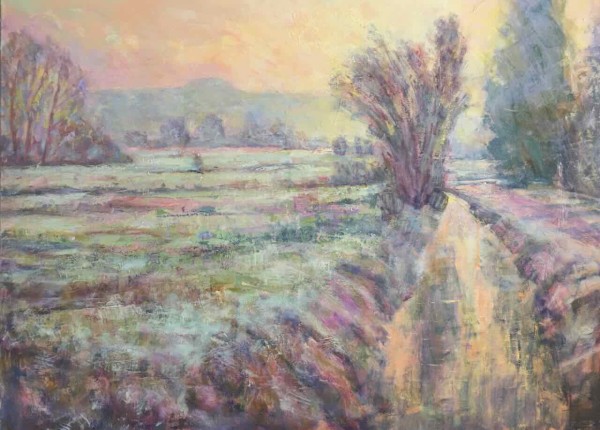 Arun Valley Frosty Morning 2 by Frances Knight