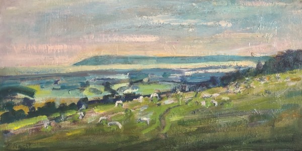Quiet Evening Sheep on the Downs by Frances Knight