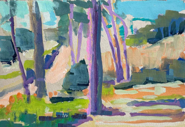 Morning Sunlight and Shadows Chamba 2 by Frances Knight