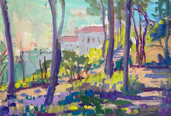 Morning Sunlight and Shadows Chamba 5 by Frances Knight