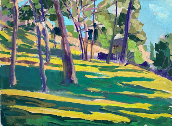 Morning Sunlight and Shadows Chamba 3 by Frances Knight