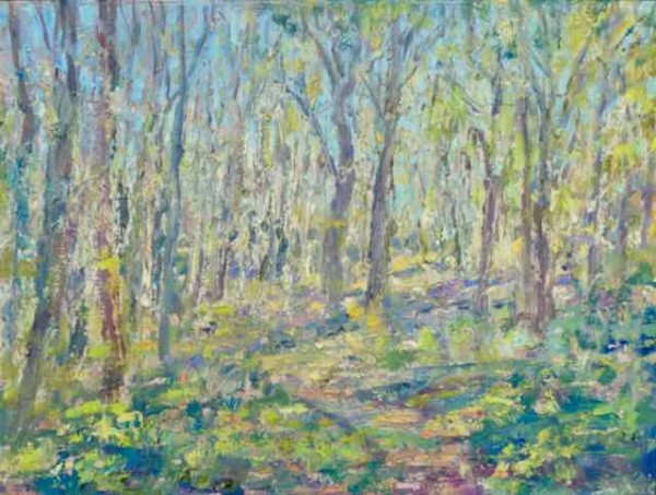 Springtime_in_the_Woods_3_ by Frances Knight