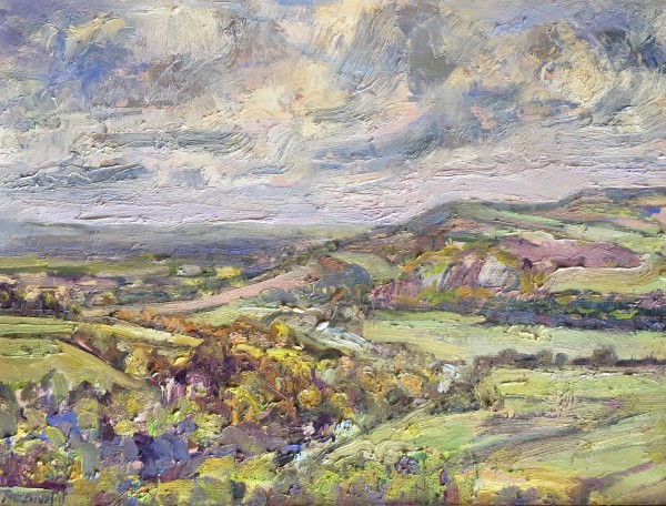 Towards Amberley Mount Spring  Green Overcast Day by Frances Knight