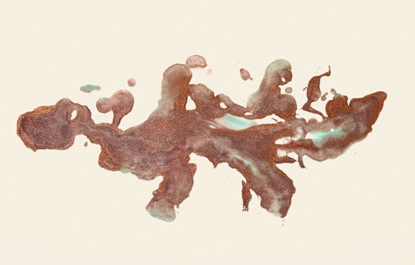 Fluid 2 by Tracy Penn, Image 1.