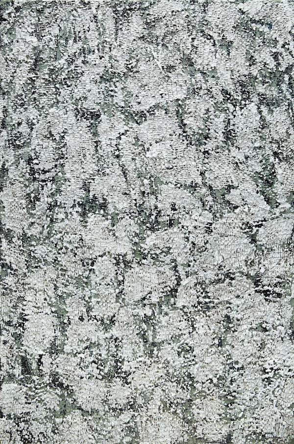 The Wind by Tracy Penn, Image 1.