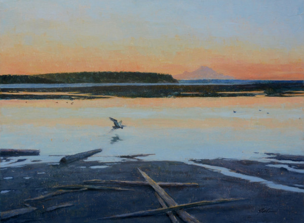 Dawn Tide, Useless Bay by Pete Jordan