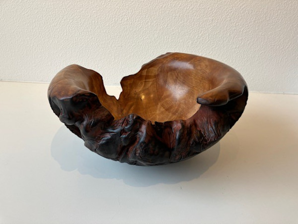 Chunky Bowl with Live Edge Texture by Michael Scott