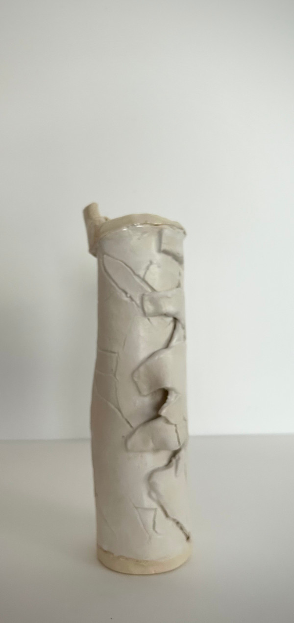 Vessel #36 by Evelyn Woods