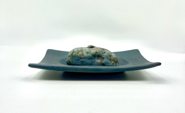 Zen Water Tray and Vase Blur by Nancy Loorem Adams
