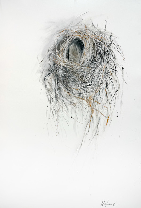 A Gentle Nest by Kris Ekstrand