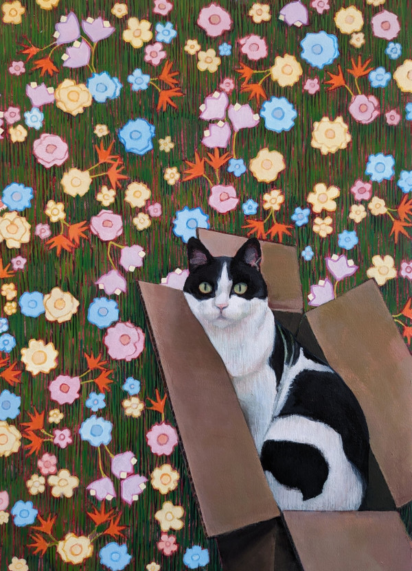 Box Cat by Christie West