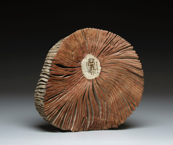 Disk Bleached Madrone Burl I by Christian  Burchard